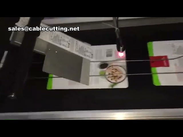 Máquina de Etiquetagem Automática para Sacos Planos e Plásticos - Alta Velocidade e Precisão