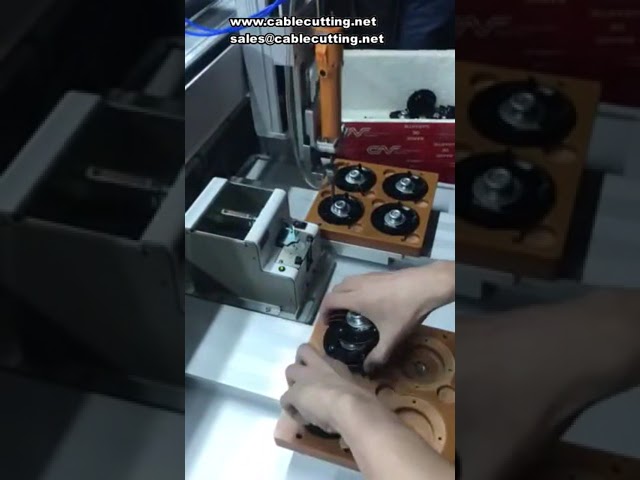Máquina Automática de Aperto de Parafusos 5331: Robô com Duas Plataformas Y