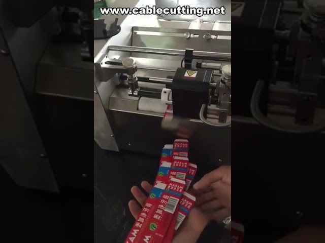 Máquina de Codificação de Data com Tinta Sólida | Impressora de Data para Embalagens