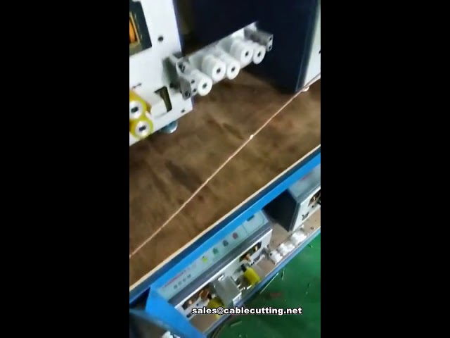 Máquina Automática de Decapagem Central de 12 Seções | Alta Produtividade Industrial