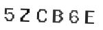 Verification Code Image