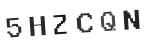 Verification Code Image