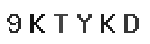 Verification Code Image