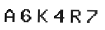Verification Code Image